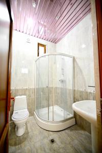 Un baño con ducha, inodoro y lavabo. en Sevan Island Cottage, en Sevan 15 fotos más