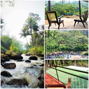 a series of four pictures of a river with a bench at Artomoro Ceylon motel in Demodera