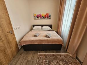- une chambre avec un lit et 2 oreillers dans l'établissement Velký byt 3+kk Klicperova, 2 ložnice, à Hradec Králové