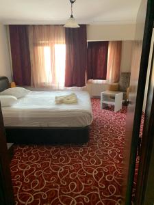 pokój hotelowy z łóżkiem i czerwonym dywanem w obiekcie Altunlar apart 1 w mieście Altındağ