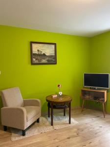 ein grünes Wohnzimmer mit einem Stuhl und einem TV in der Unterkunft Cosy flat in High Tatras in Starý Smokovec