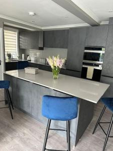 a kitchen with a counter with a vase of flowers on it at Cameron Coach House Modern Property in Murrayfield Edinburgh in Edinburgh