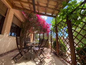 坎波斯的住宿－Finca Sa Canova Agroturismo，阳台配有一张桌子和椅子,并种植了粉红色的鲜花
