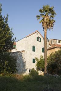 a palm tree in front of a stone building at Bed & Breakfast Vila Baguc in Split