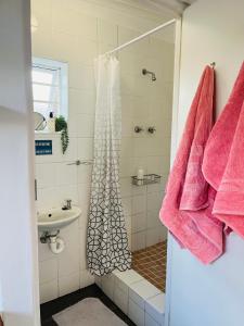 a bathroom with a shower and a sink with pink towels at Settlers Valley Cottage in Port Elizabeth