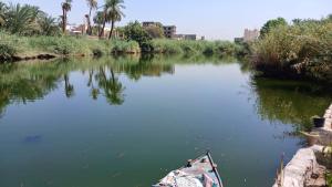 ルクソールにあるLuxor Old Nile Hotelの水上のヤシの木が浮かぶ川の船