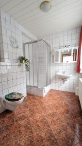 a bathroom with a toilet and a shower and a sink at Gästehaus Fehrenbacher Schweiz in Masserberg