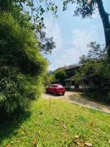 Jardín al aire libre en Zerai private villa wayanad