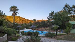 un complejo con piscina y palmeras en Casa do Palmeiral - Hoom B&B, en Montes de Cima