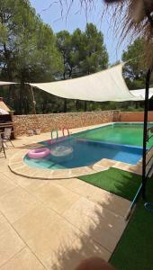 Casa del jabali - Tiny house في Tivissa: حمام سباحة مع بركة فريسبي في الفناء الخلفي