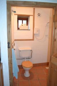 a small bathroom with a toilet and a window at Cozy, open plan barn with log burner in Truro