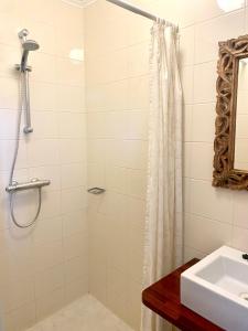 W łazience znajduje się prysznic i umywalka. w obiekcie Appartement Opa's Huisje w mieście Ruinerwold
