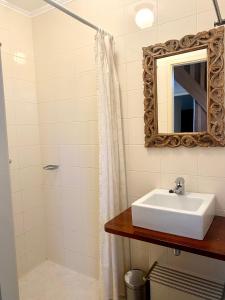 W łazience znajduje się umywalka i lustro. w obiekcie Appartement Opa's Huisje w mieście Ruinerwold