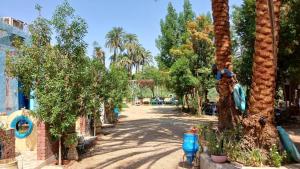 Une rangée de palmiers dans un parc dans l'établissement Luxor Old Nile Hotel, à Louxor