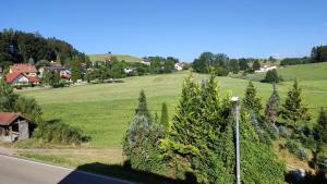 vistas a un campo verde con árboles y una carretera en Ferienhaus Rudolf en Achberg