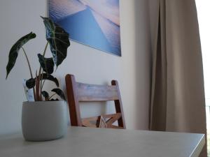 Fotografie z fotogalerie ubytování B&B Al Vecchio Pontile kitesurf v destinaci Marsala