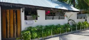 a white building with plants on the side of it at Fins Dive and Leisure Hotel in Rasdu