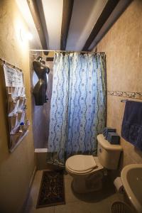 a bathroom with a toilet and a blue shower curtain at Villa de Leyva da Cecy in Villa de Leyva