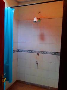 a bathroom with a shower with a blue shower curtain at New Kitisuru A in Nairobi