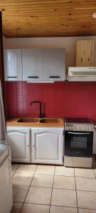 a kitchen with white cabinets and a sink at Gîte cozy proche du Zoo de Beauval / Châteaux de la Loire N1 in Selles-sur-Cher