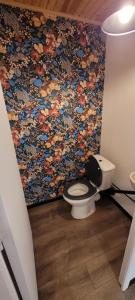 a bathroom with a toilet with a floral wall at Gîte cozy proche du Zoo de Beauval / Châteaux de la Loire N1 in Selles-sur-Cher