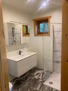 a bathroom with a sink and a glass shower at Pension Maximilian, Ideal für Gruppen in Gamlitz