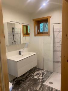 a bathroom with a sink and a glass shower at Pension Maximilian in Gamlitz