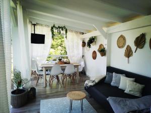 a living room with a couch and a table at Villa Monica in Lupeni