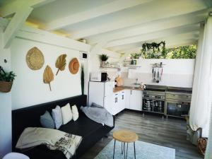 a living room with a couch and a kitchen at Villa Monica in Lupeni
