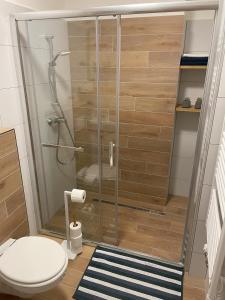 a shower stall in a bathroom with a toilet at Apartmán Nové Hutě Šumava in Nové Hutě