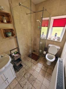 a bathroom with a shower and a toilet and a sink at Teach Róisin-Traditional Irish holiday cottage in Malin Head. in Malin