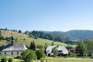 a church in the middle of a field with a hill at Schwarzwaldperle in Todtmoos