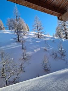 イゾラ 2000にあるChalet Marano Restaurant & Spaの遠くに木々が積もる雪の丘