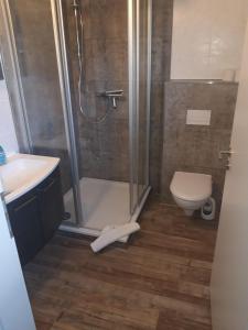 La salle de bains est pourvue d'une douche, de toilettes et d'un lavabo. dans l'établissement Hus-Hiddensee-Eckhaus-A, à Vitte