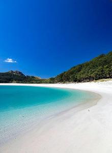 una playa blanca con agua azul y árboles en el fondo en Mar y montaña en Moaña