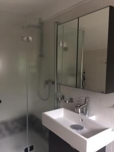 ノイハルリンガージールにあるGemütlicher Bungalowのバスルーム(シンク、鏡付きシャワー付)