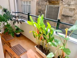 un balcón con muchas plantas y una ventana en The Hideaway Alley Bui Vien, en Ho Chi Minh