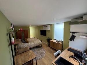 een slaapkamer met een bed en een wastafel in een kamer bij Het Tulpenkwartier in Apeldoorn
