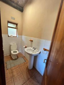 a bathroom with a toilet and a sink at Iron River Farm Self Catering in Heidelberg