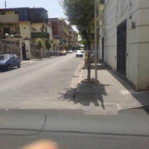 uma rua com uma árvore no lado da estrada em AL Civico 24 em Acerra