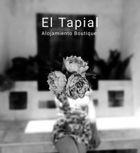 een zwart-witte foto van een bloem in een vaas bij El Tapial in Chipiona