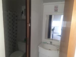 a bathroom with a sink and a toilet and a mirror at NUESTRO MUNDO TRELEW in Trelew