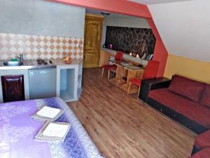 茲拉蒂博爾的住宿－Vila Zlatibor，带沙发的客厅和厨房