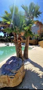 two palm trees on a beach next to a rock at Le Drip's in Marseille