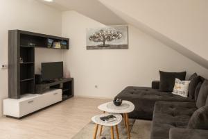 a living room with a couch and a tv at Apartman MENHETN Arandjelovac in Arandjelovac