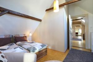um quarto com uma cama e um sofá num quarto em Apartmány Milenium em Liberec