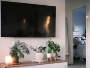 a living room with two potted plants and a tv at Little Bell in Bellerive