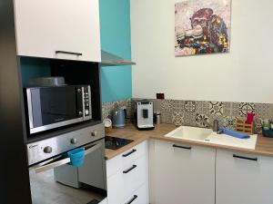 - une cuisine avec un comptoir et un four micro-ondes dans l'établissement Les Avatars, à Saint-Amand-Montrond