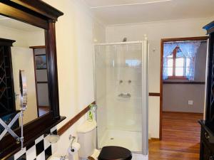 a bathroom with a shower and a toilet at Brentwood Cottage in Machadodorp