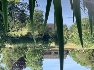 un reflejo de un tren en un cuerpo de agua en The Quackery, en Langport